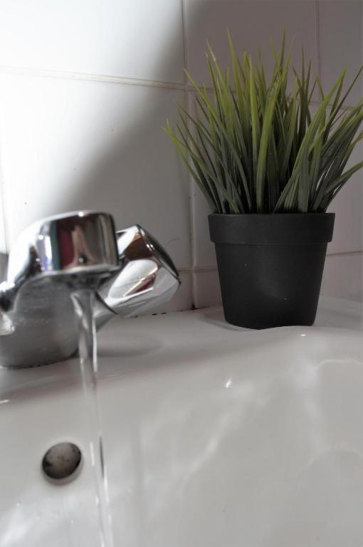 Edinburgh City Centre Guesthouse Apartment Dış mekan fotoğraf